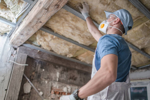 Best Insulation Removal  in Hermann, MO
