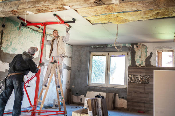 Best Insulation Removal  in Hermann, MO
