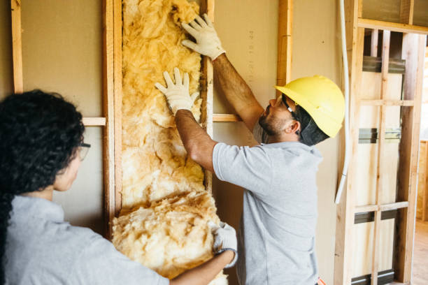 Best Wall Insulation Contractor  in Hermann, MO