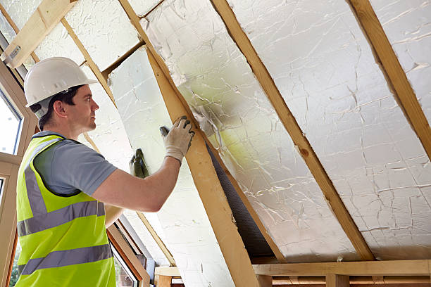 Best Insulation Removal Services  in Hermann, MO
