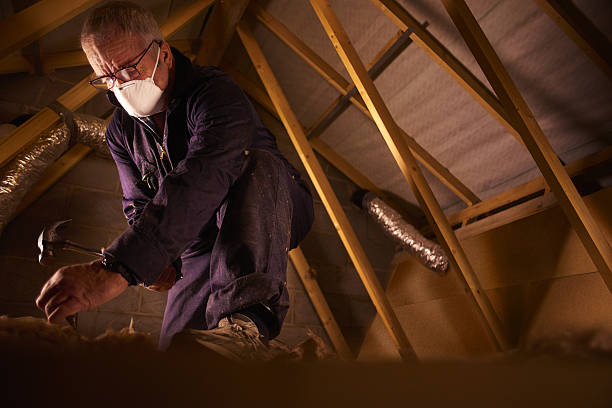 Insulation Repair Services in Hermann, MO