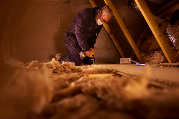 Best Residential Insulation Services  in Hermann, MO